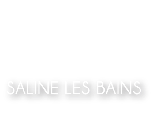 VILLA AMADRIA LA SALINE LES BAINS