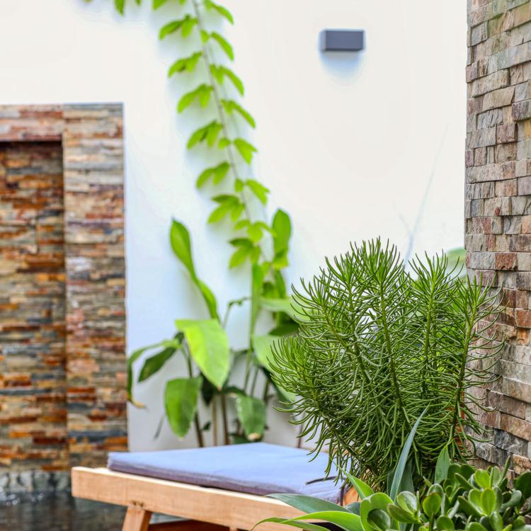 Decorating and vegetal decoration.