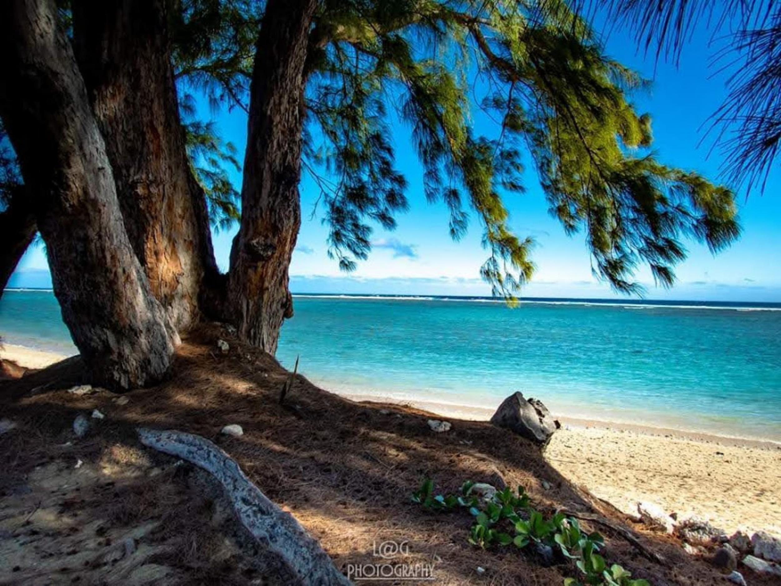 PLAGE DE LA SALINE LES BAINS